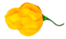 Applsci 15 07024 i008