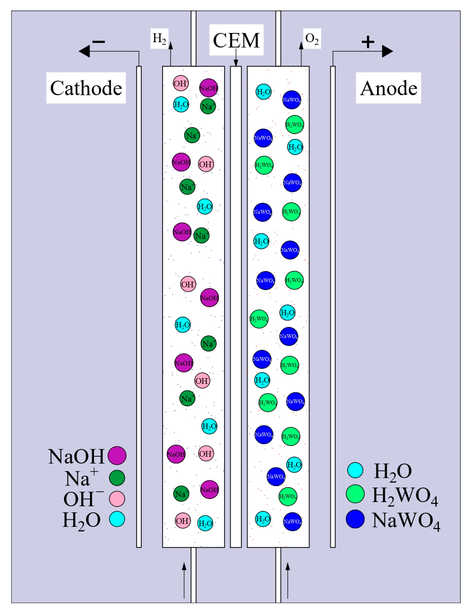 Applsci 15 07033 g002 Applsci 15 07033 g002