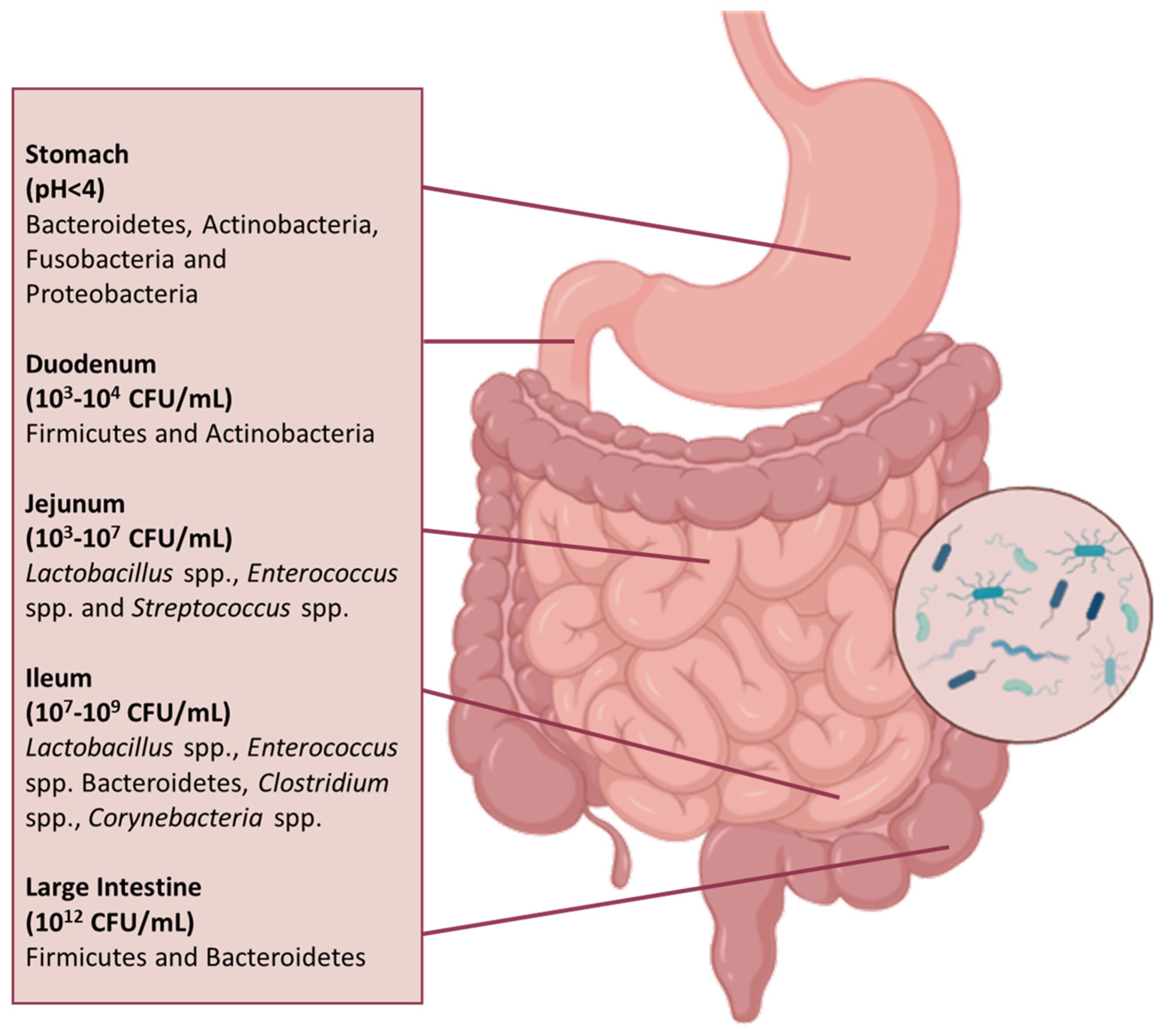 Applsci 15 07084 g001