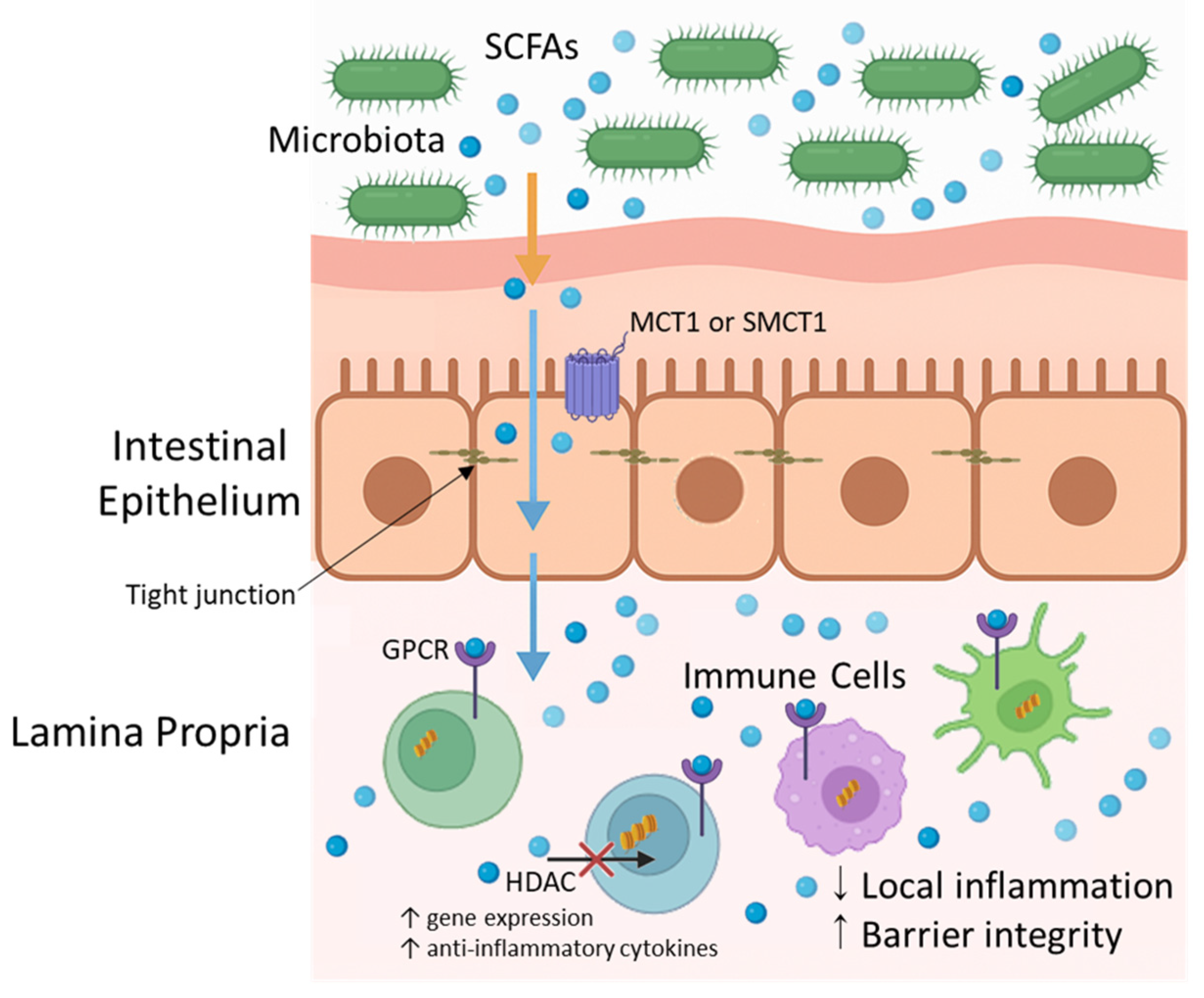Applsci 15 07084 g003