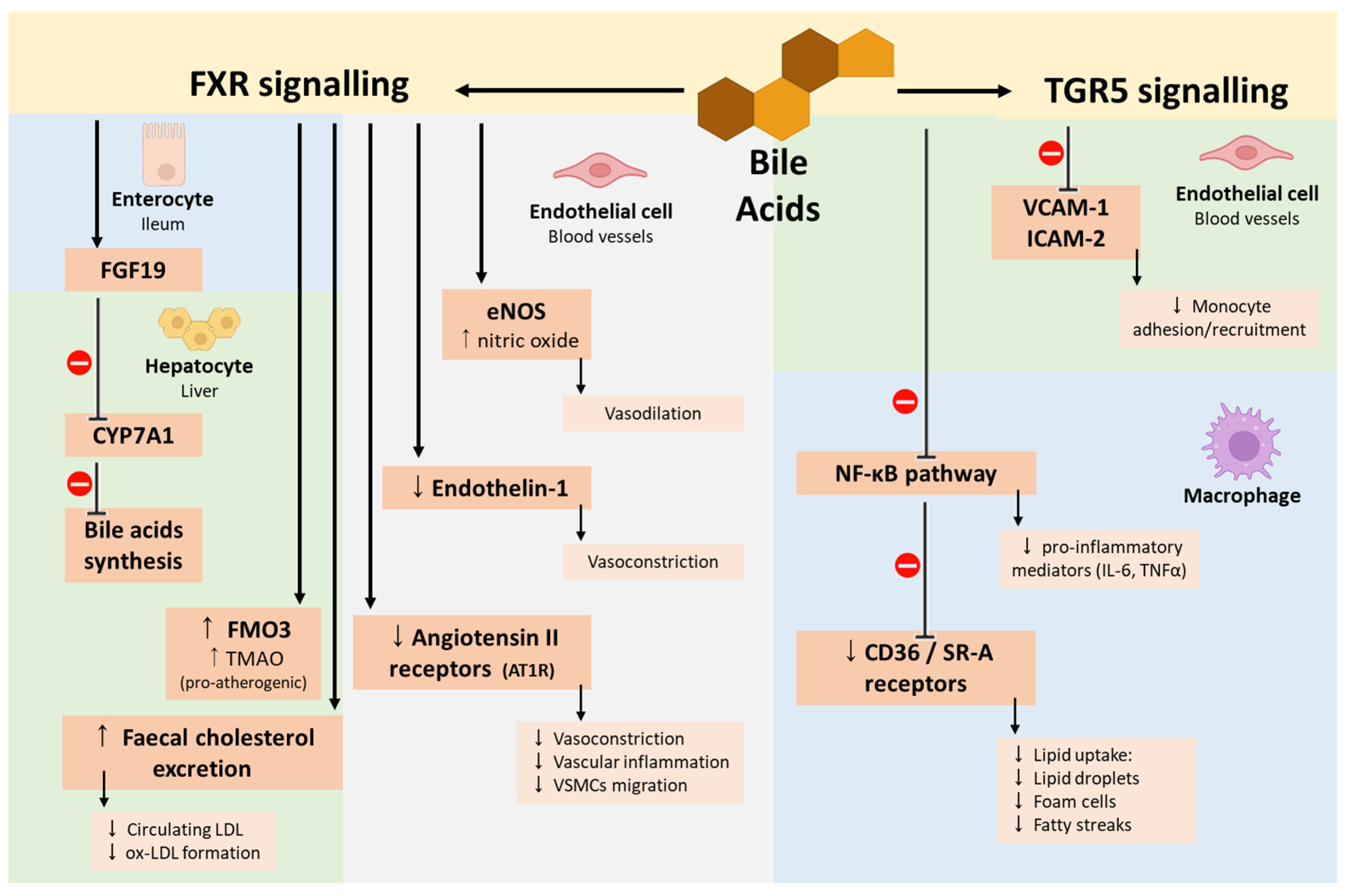 Applsci 15 07084 g007