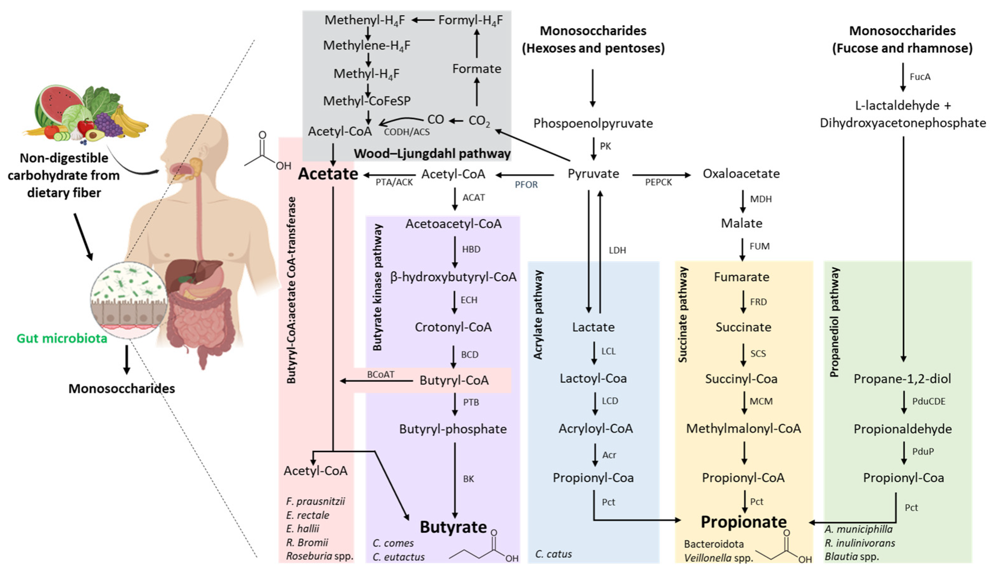 Applsci 15 07084 g008