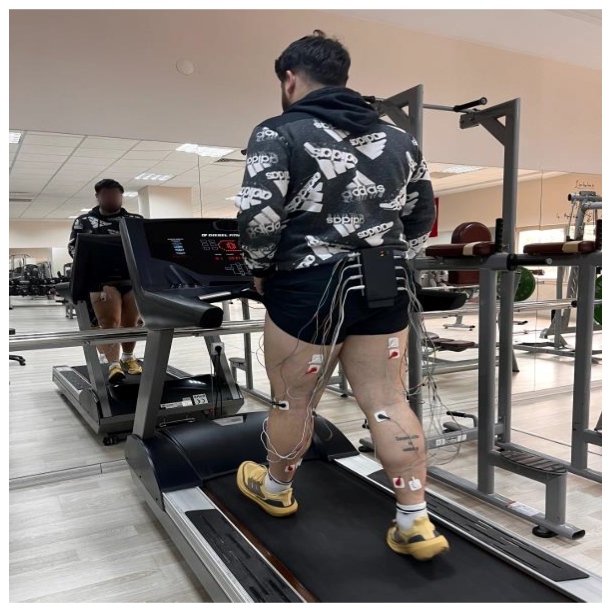 Applsci 15 07099 g004