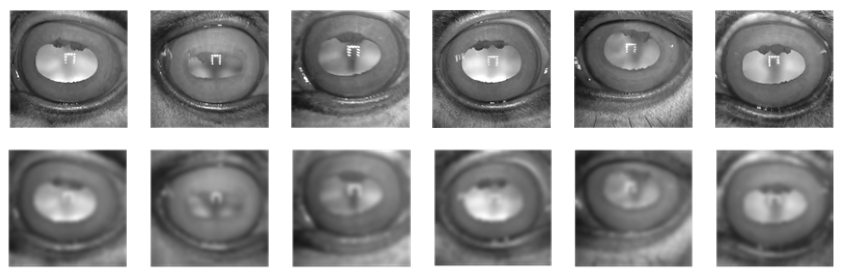 Applsci 15 07191 g003