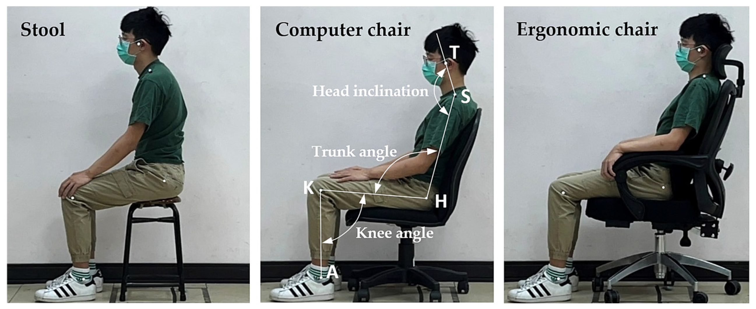 Applsci 15 07239 g001