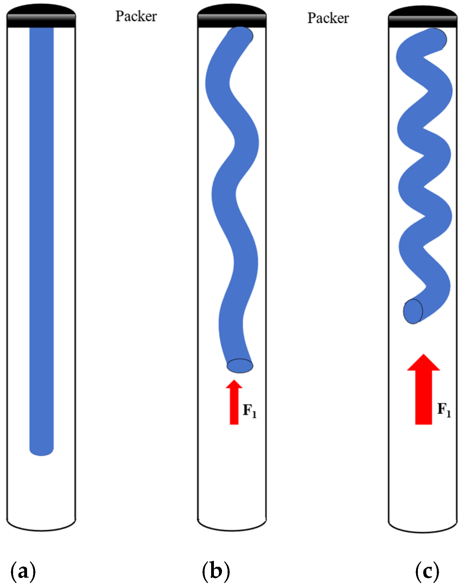 Applsci 15 07249 g006