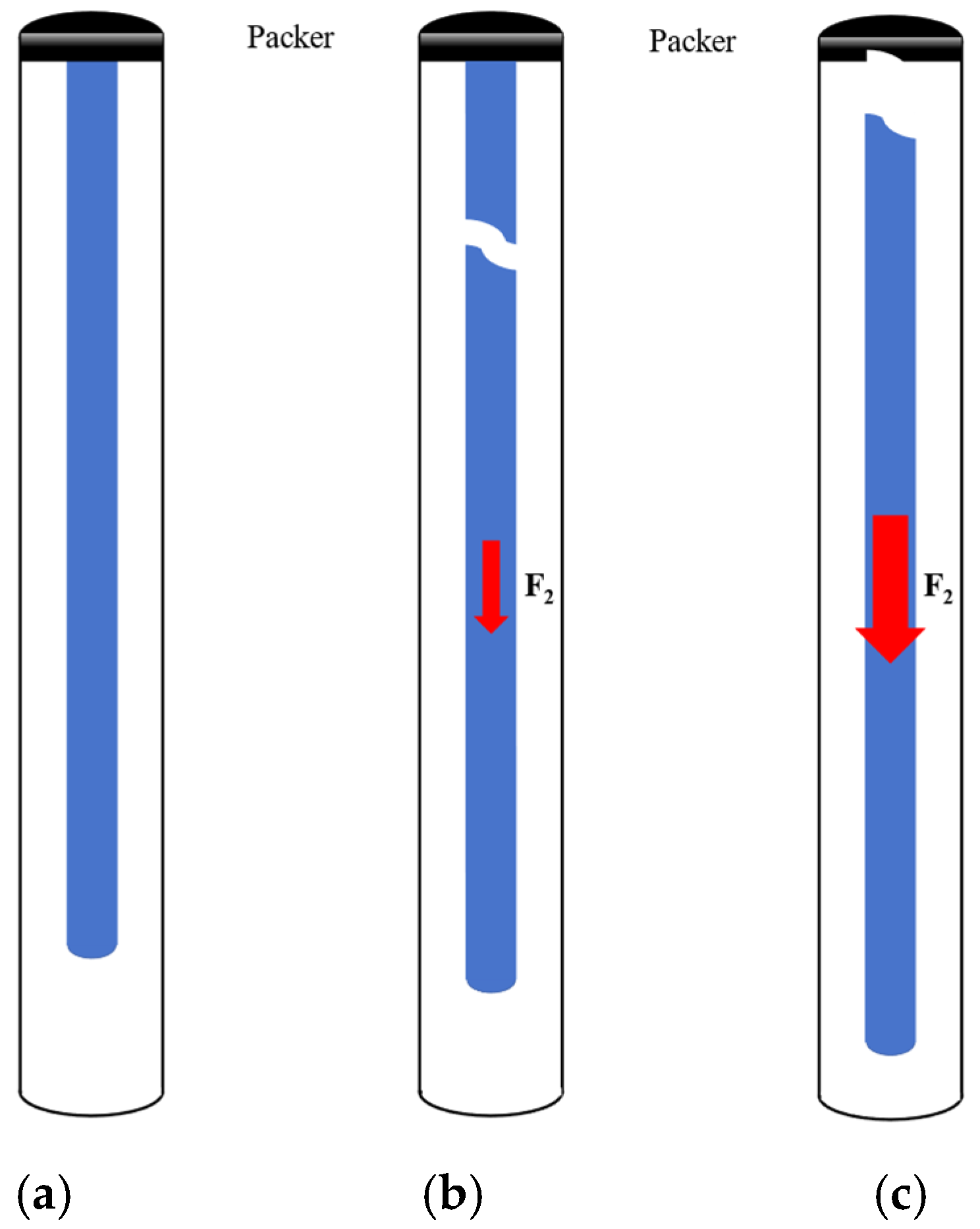 Applsci 15 07249 g007