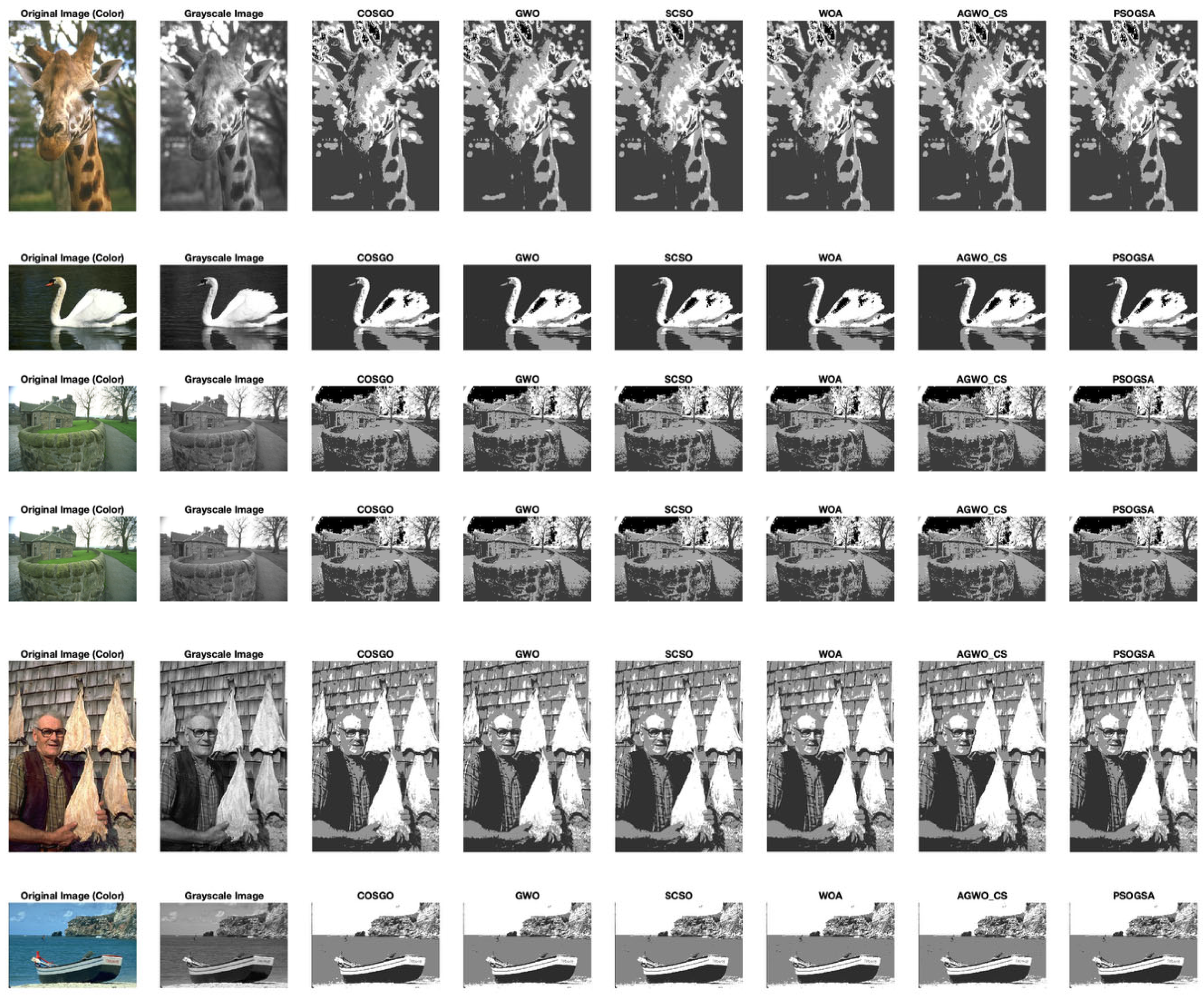 Applsci 15 07255 g006b