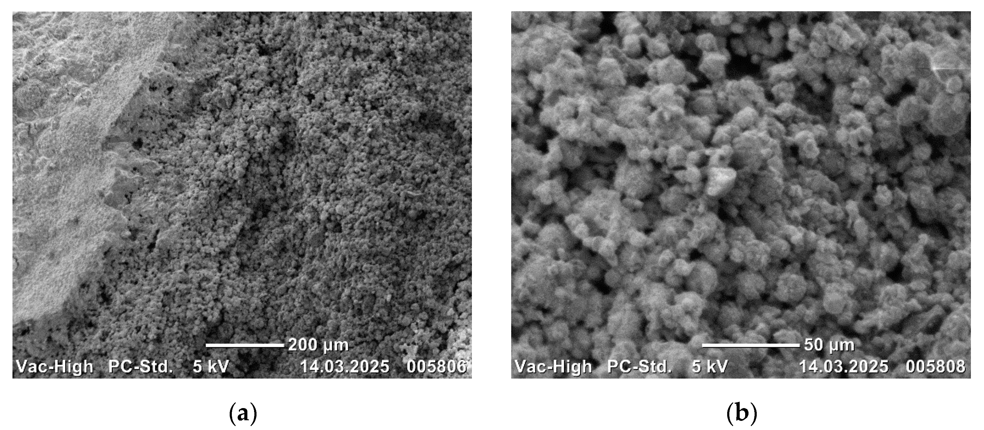 Applsci 15 07284 g011