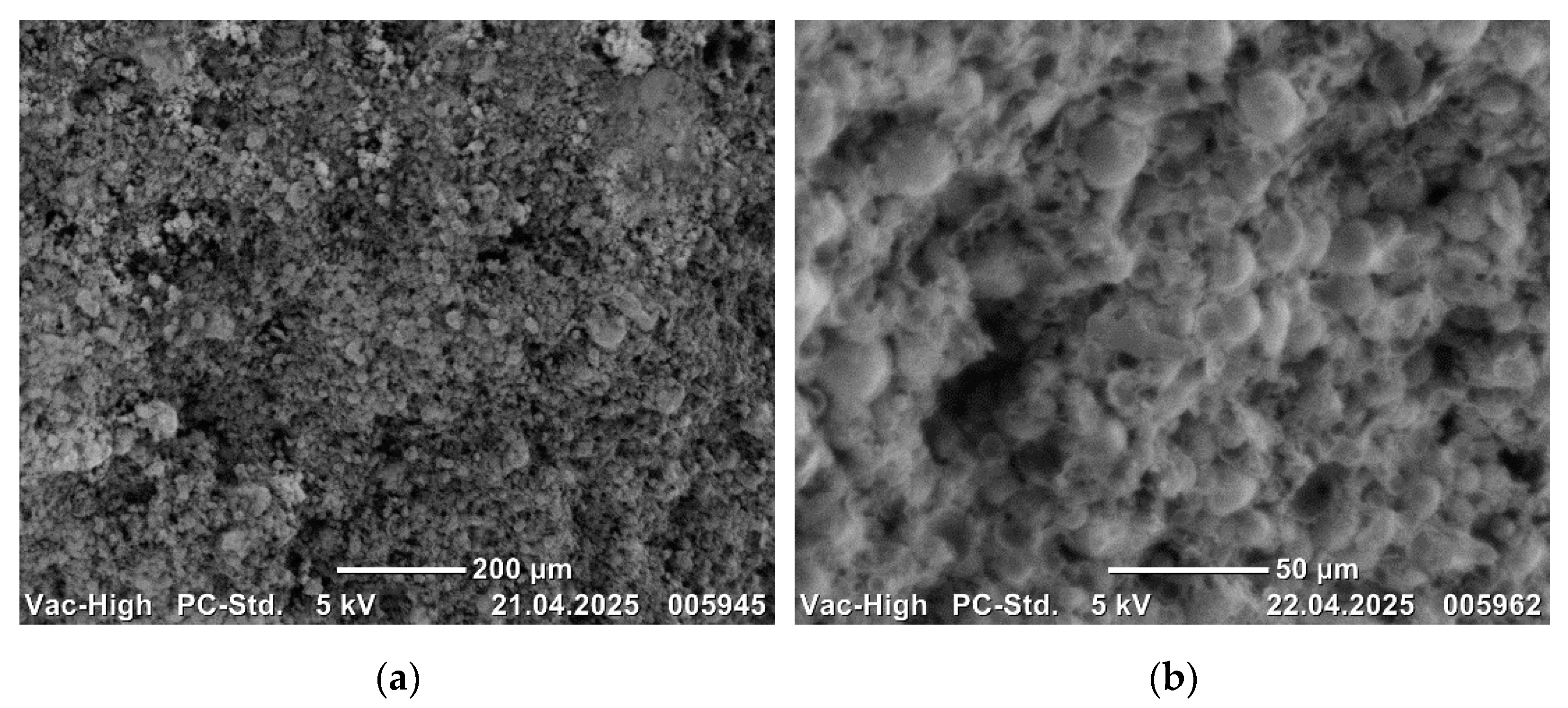 Applsci 15 07284 g012