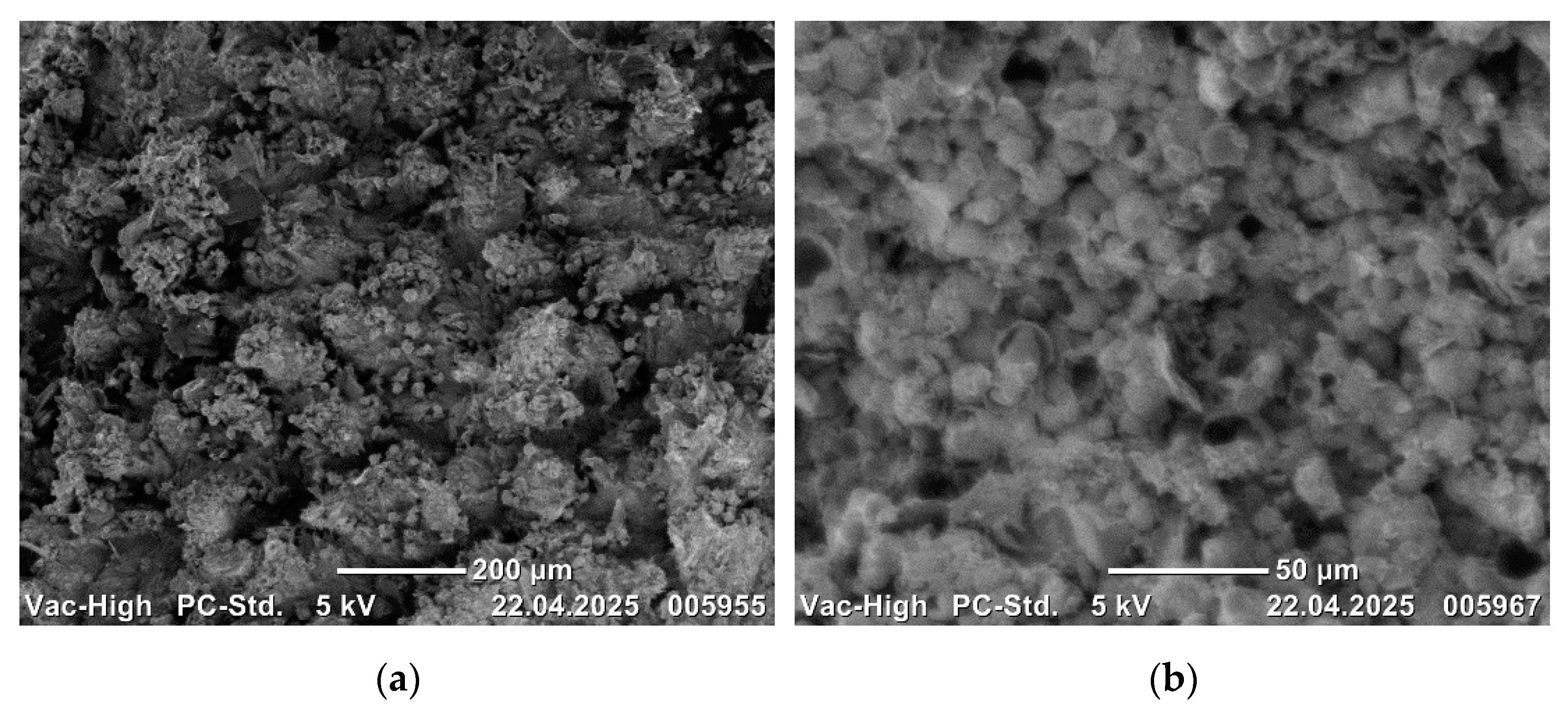 Applsci 15 07284 g014