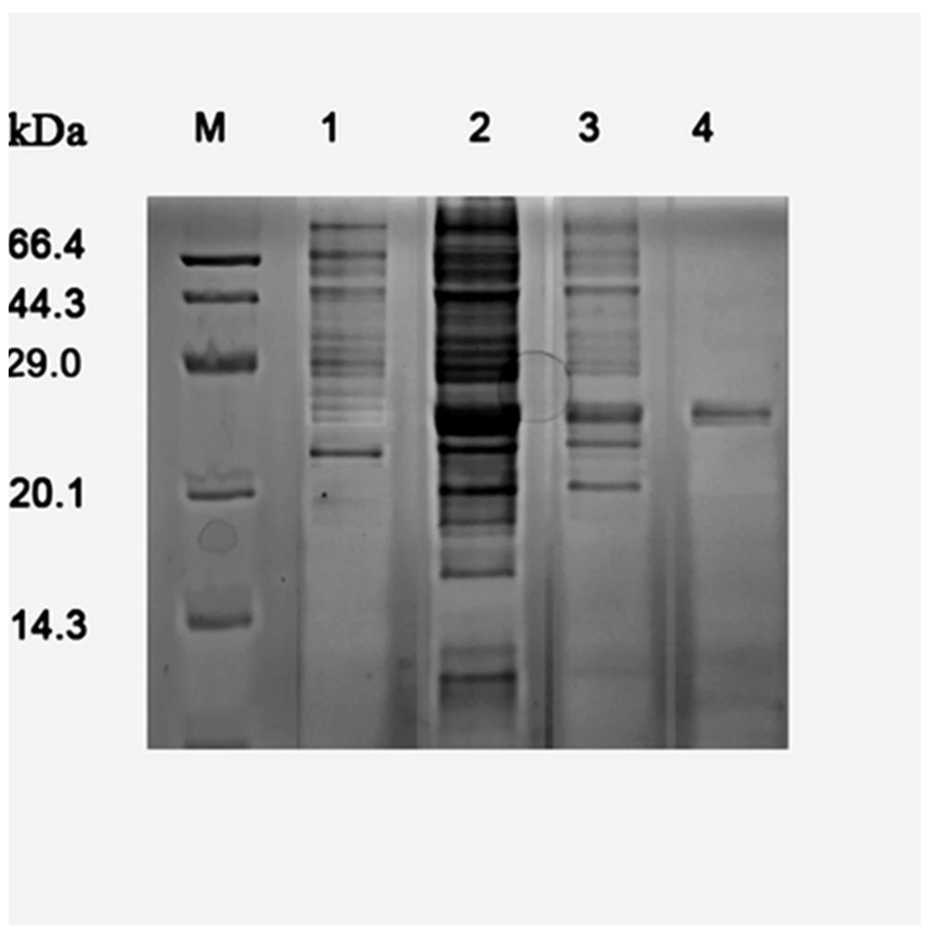 Applsci 15 07318 g003