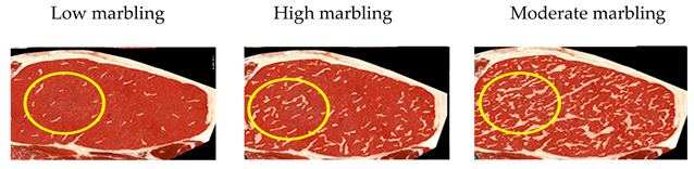 Applsci 15 07360 i002