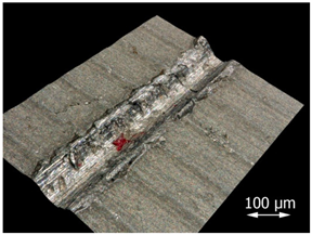 Applsci 15 07398 i003