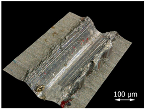 Applsci 15 07398 i005