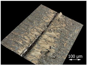 Applsci 15 07398 i006