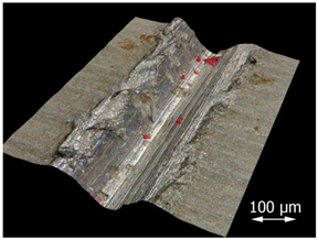 Applsci 15 07398 i007