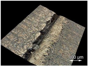 Applsci 15 07398 i008