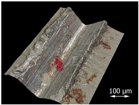 Applsci 15 07398 i009