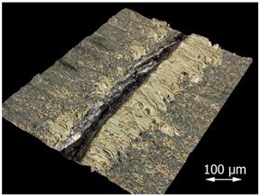 Applsci 15 07398 i013