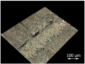 Applsci 15 07398 i014