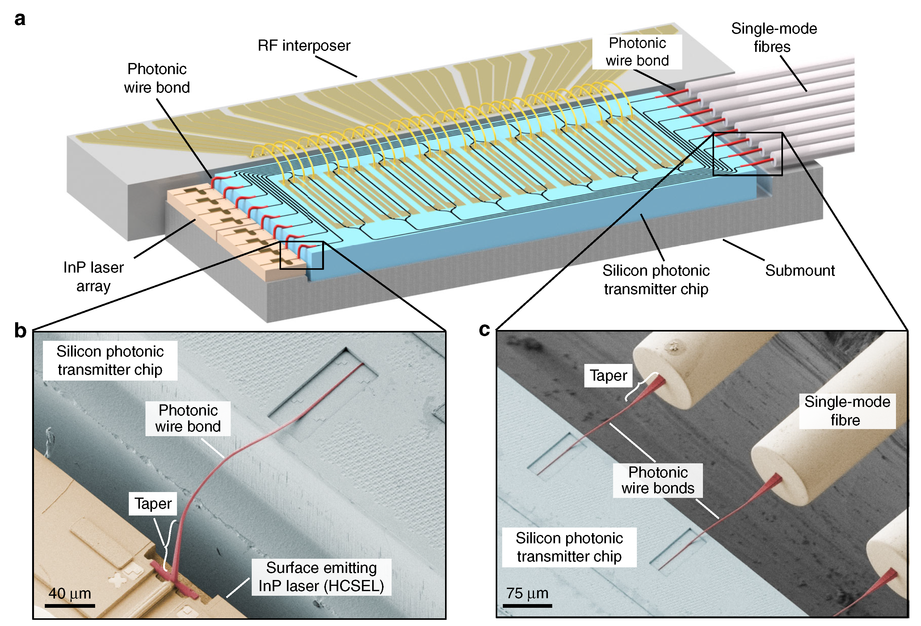 Applsci 15 07494 g013
