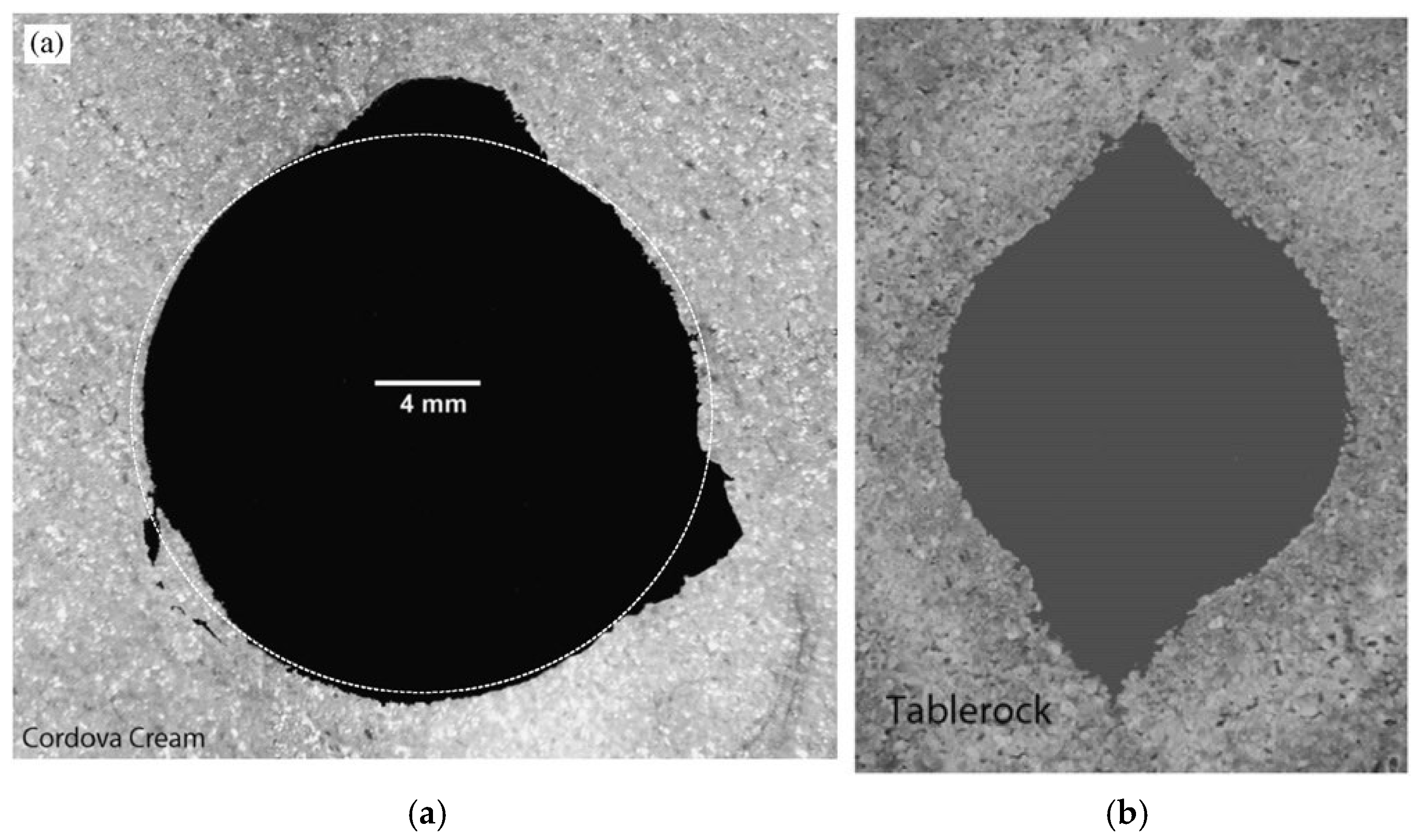 Applsci 15 07496 g007