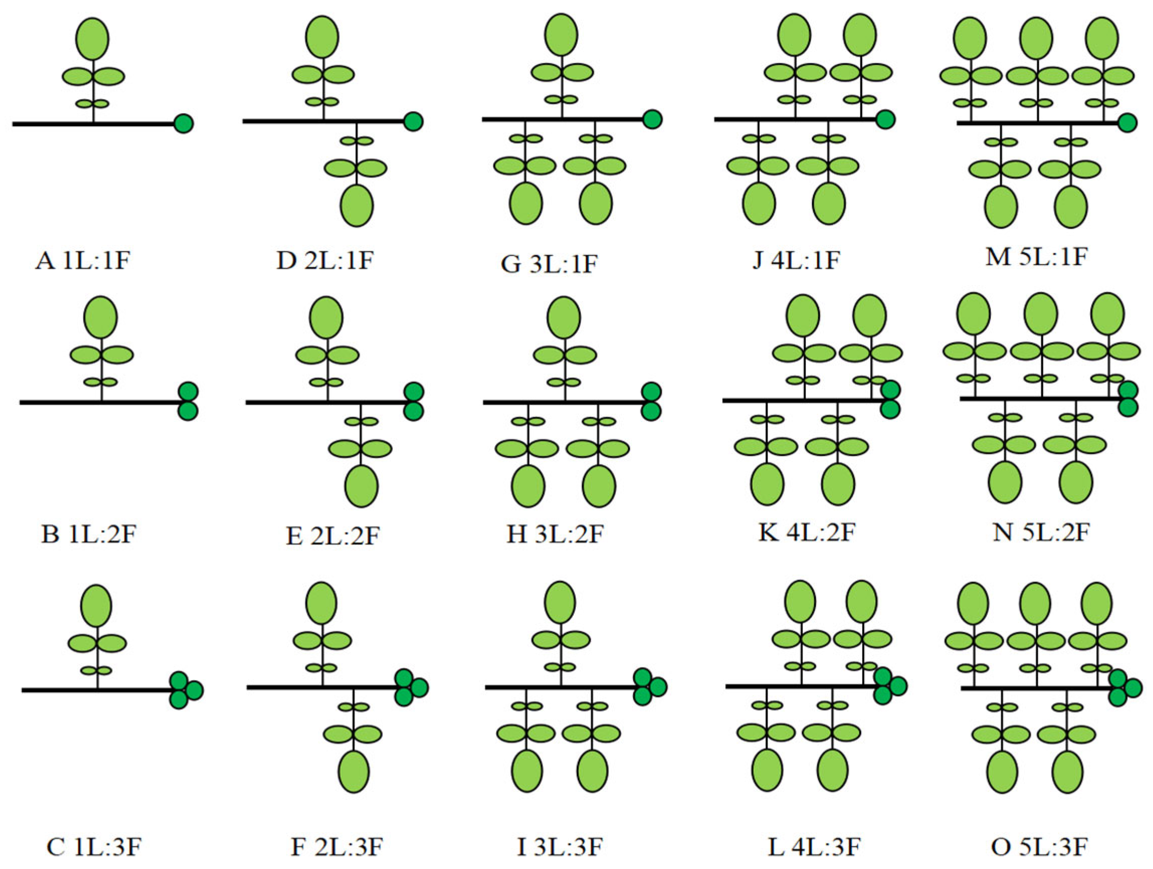 Applsci 15 07523 g001 Applsci 15 07523 g001