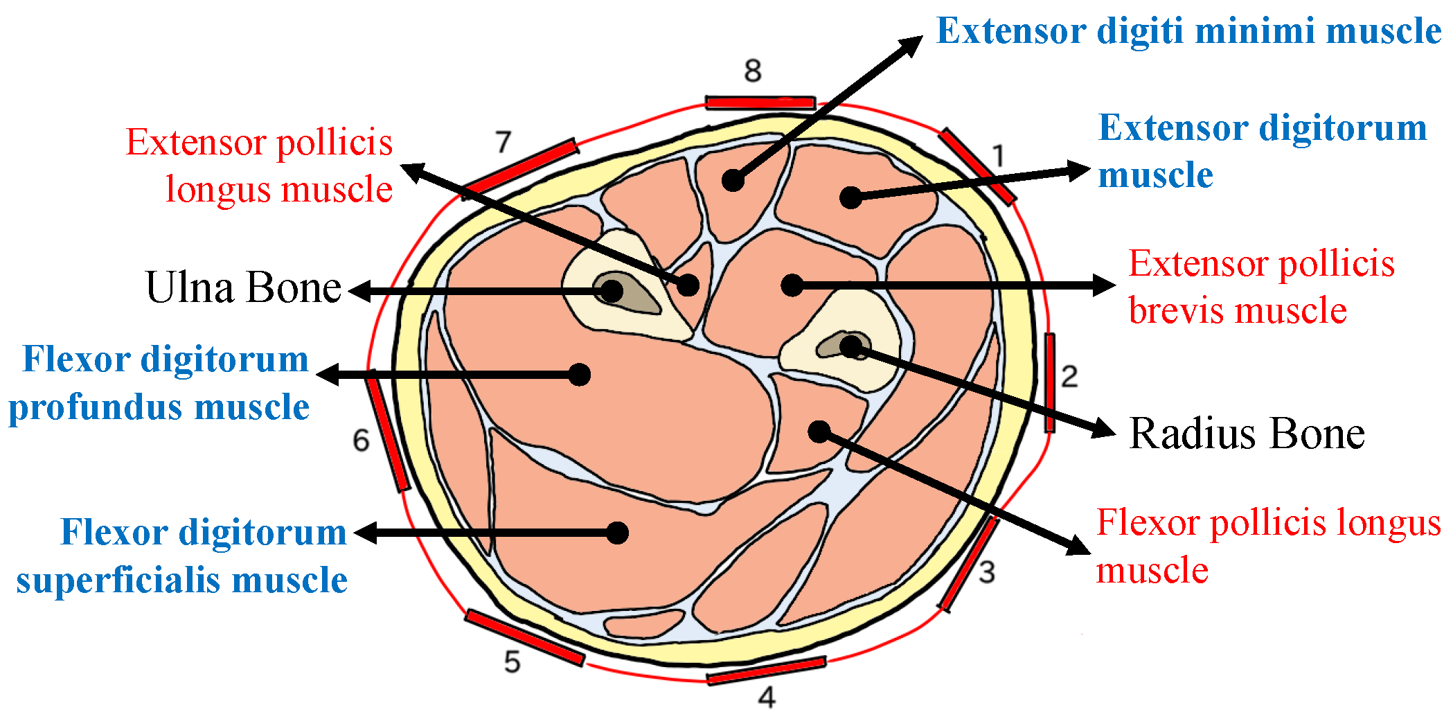 Applsci 15 07534 g006 Applsci 15 07534 g006