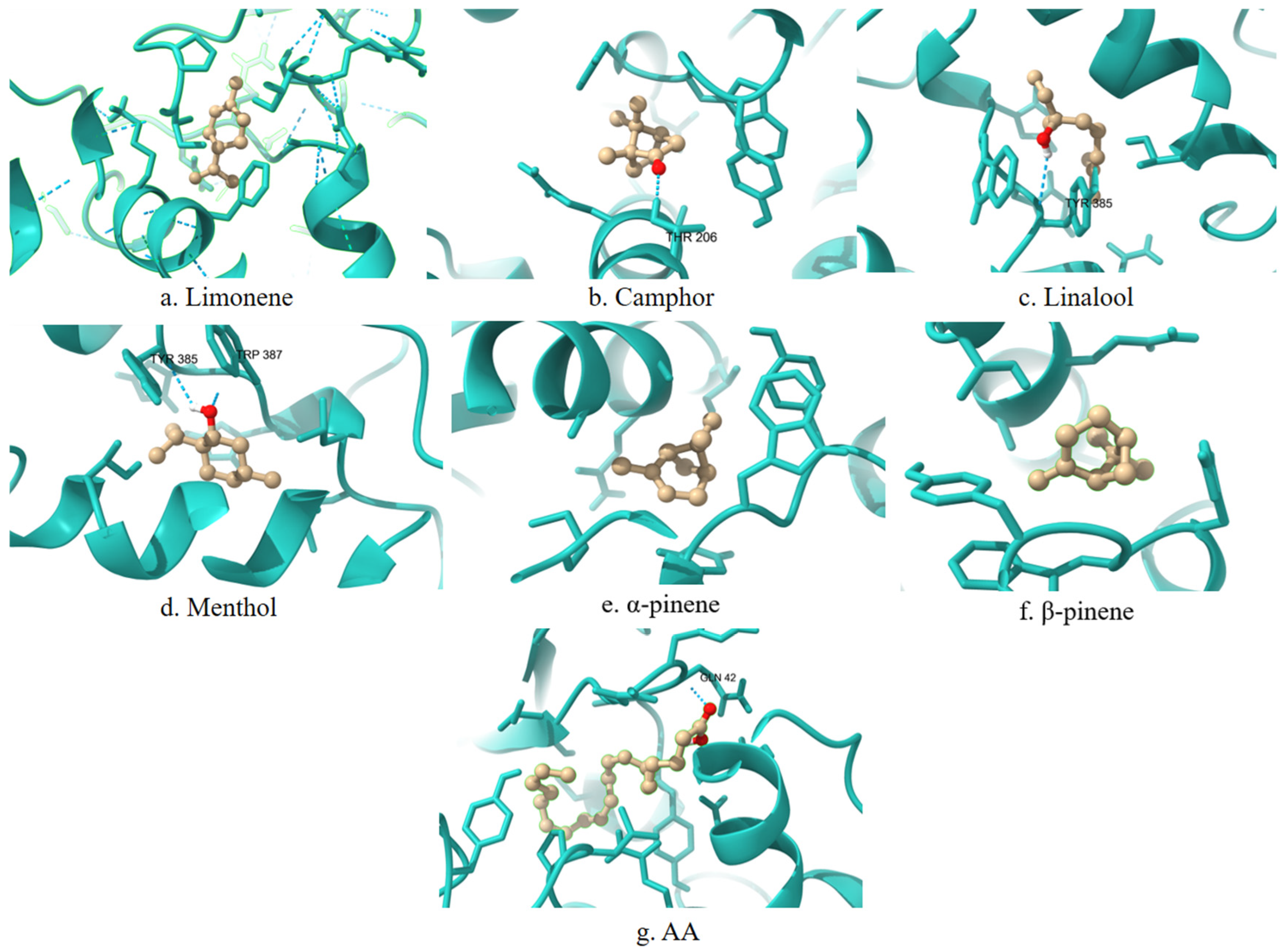 Applsci 15 07536 g001