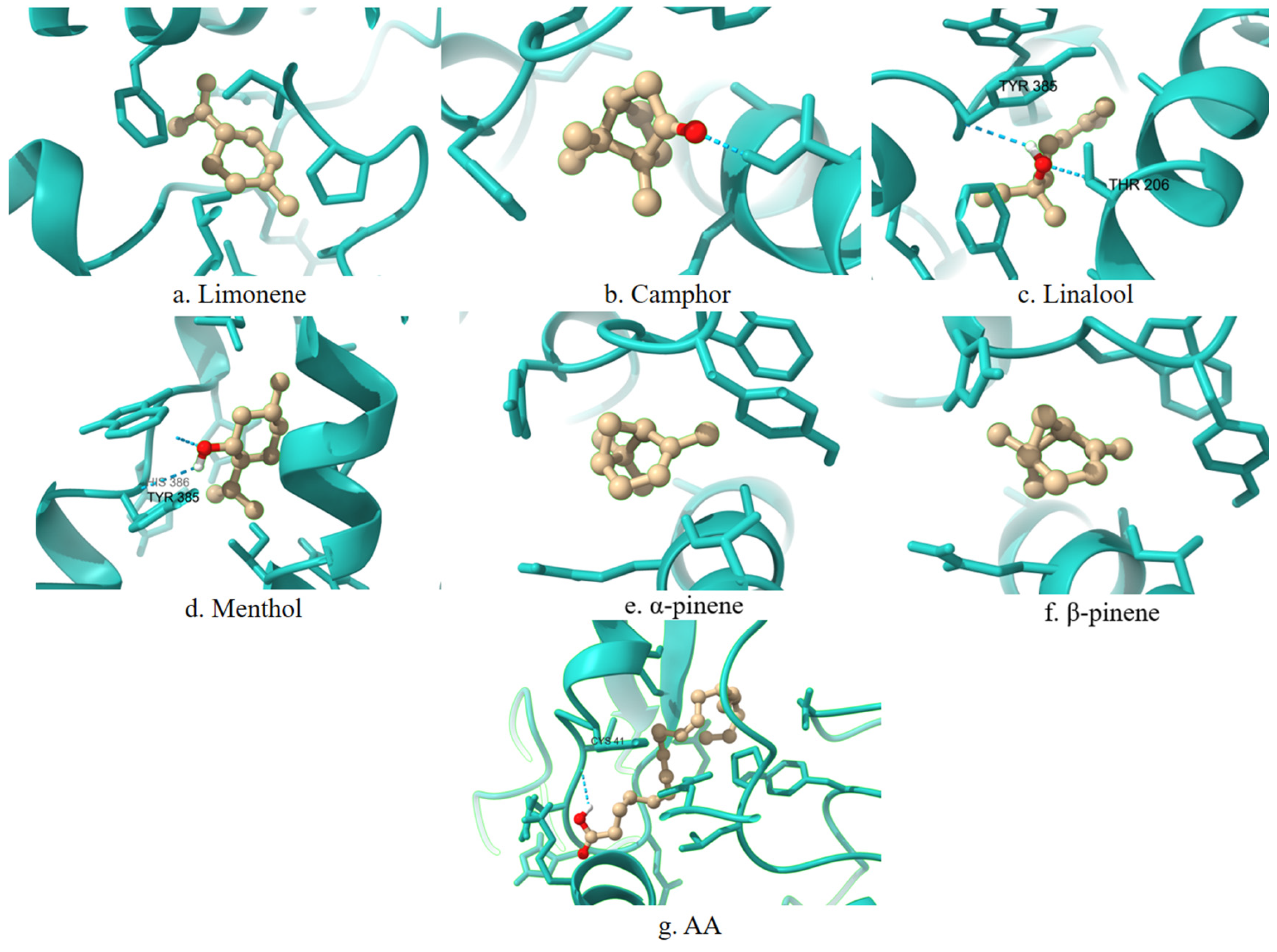 Applsci 15 07536 g002