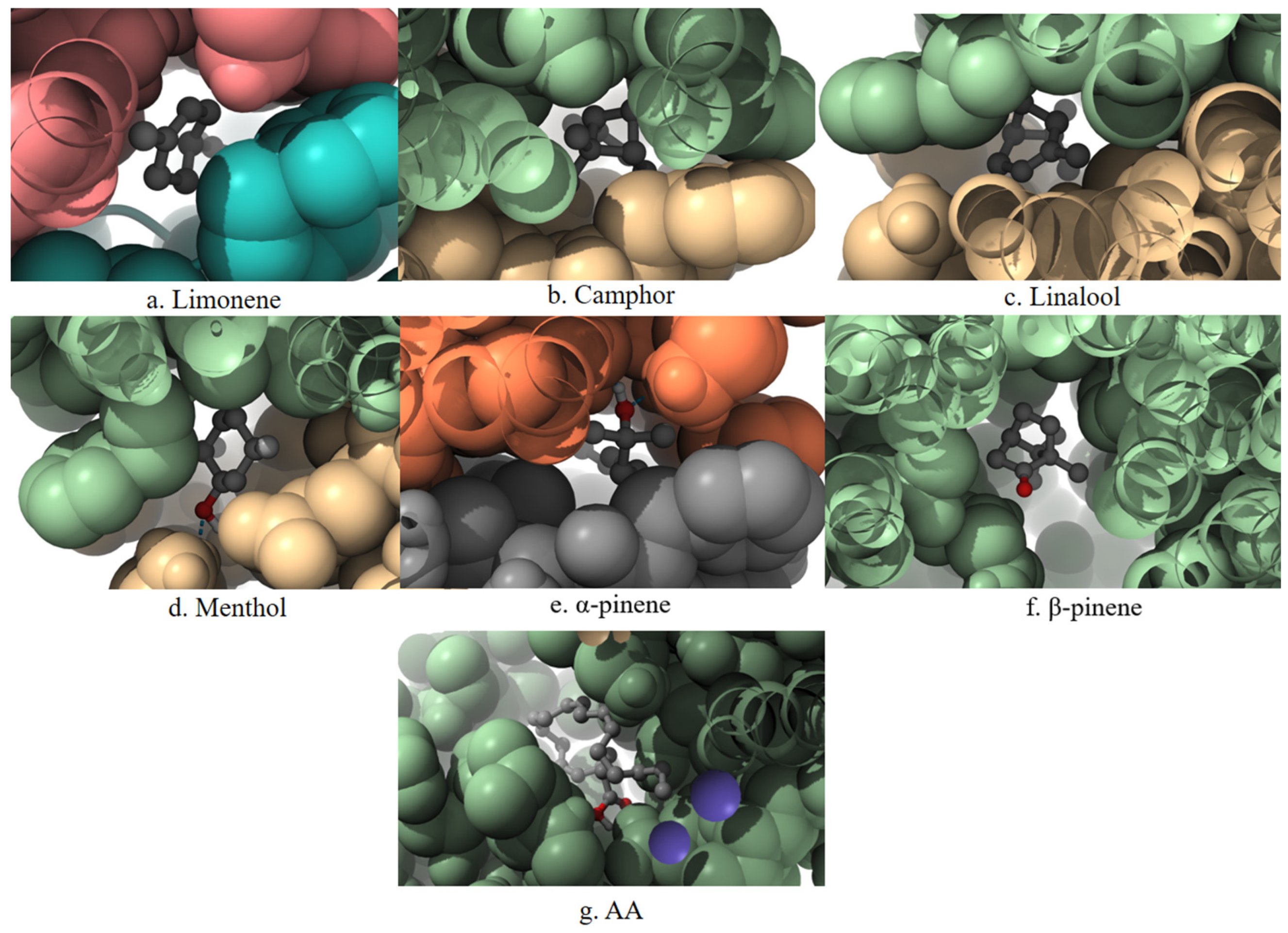 Applsci 15 07536 g004