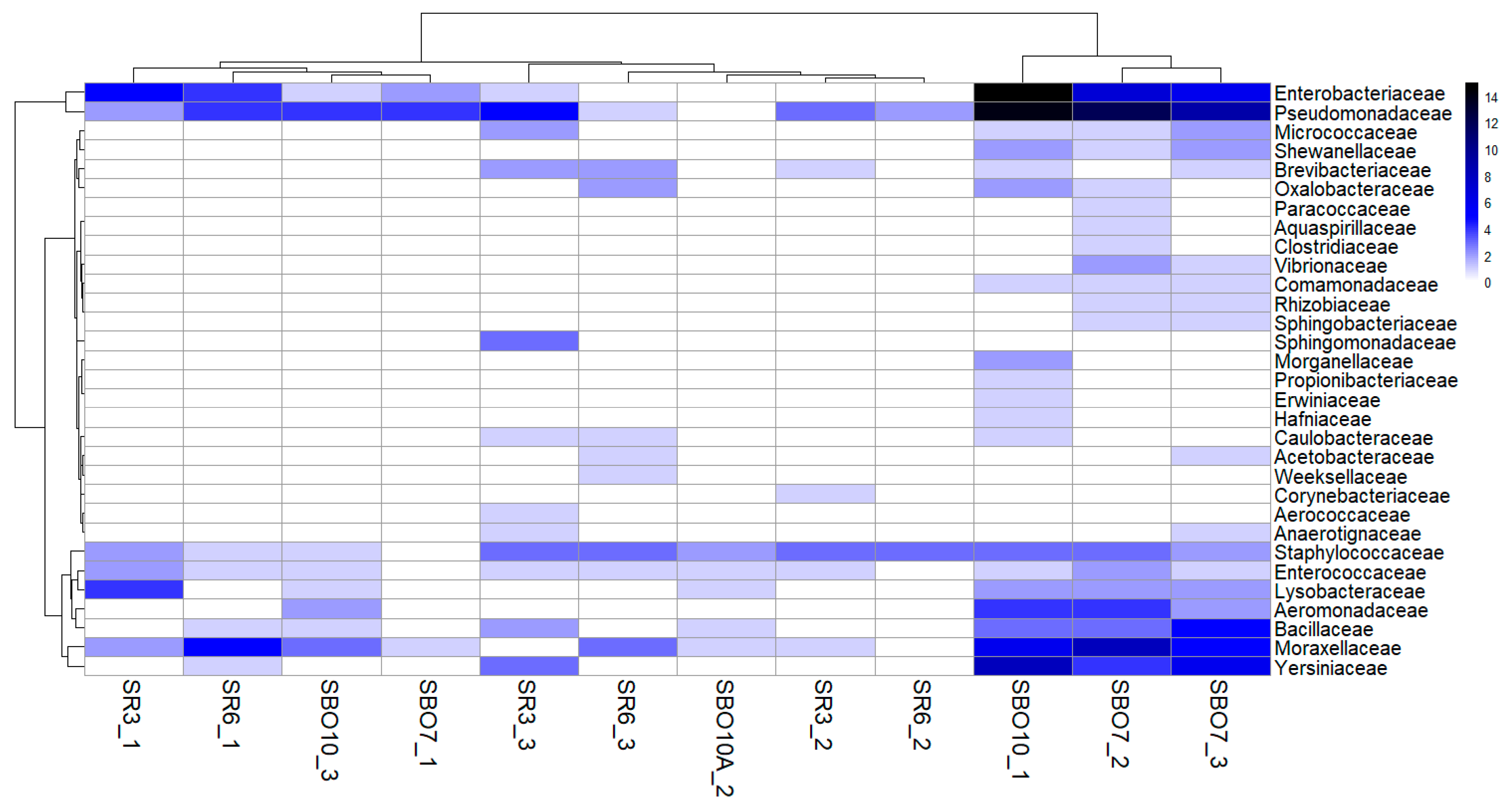 Applsci 15 07545 g001 Applsci 15 07545 g001
