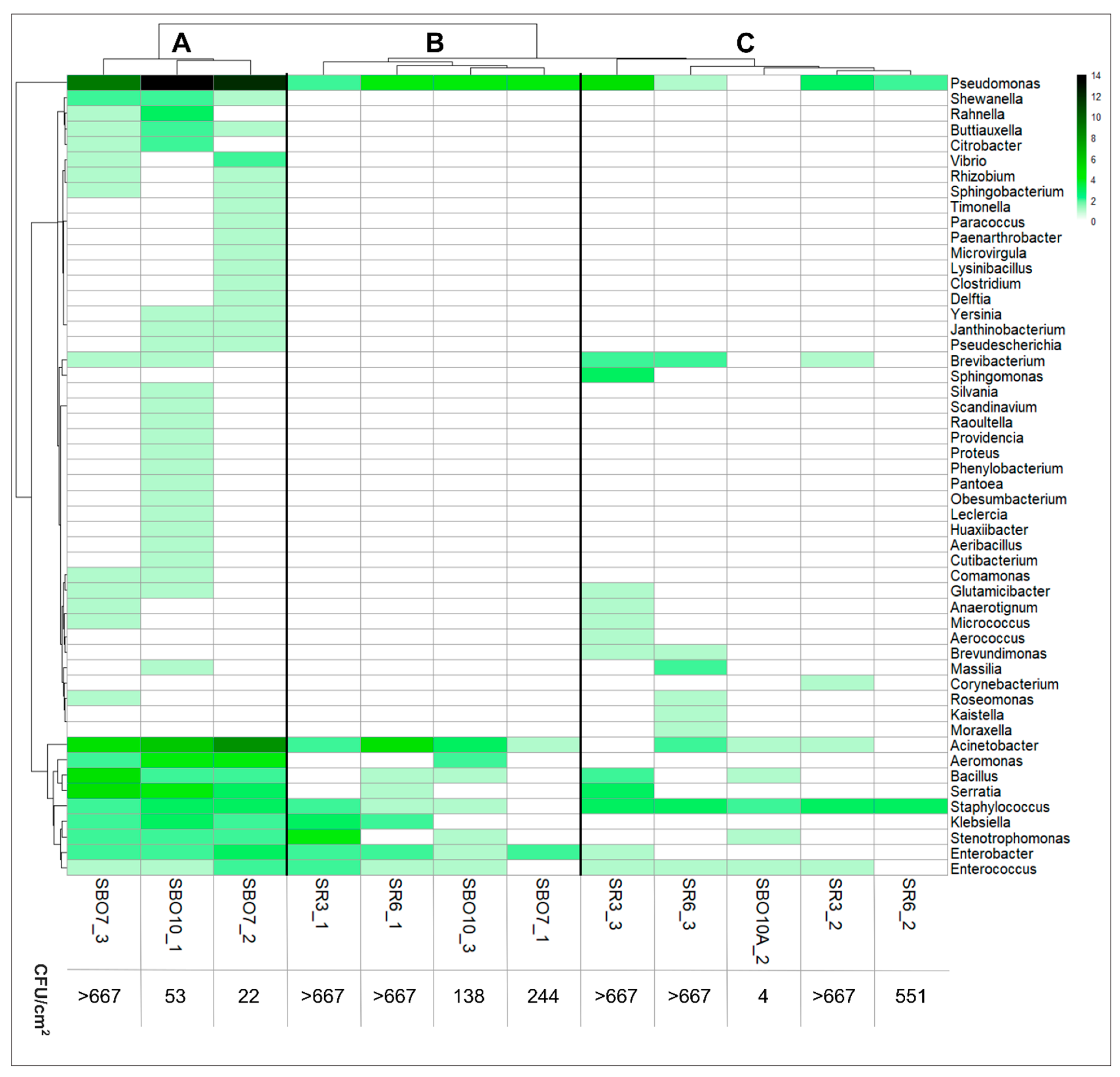 Applsci 15 07545 g002 Applsci 15 07545 g002
