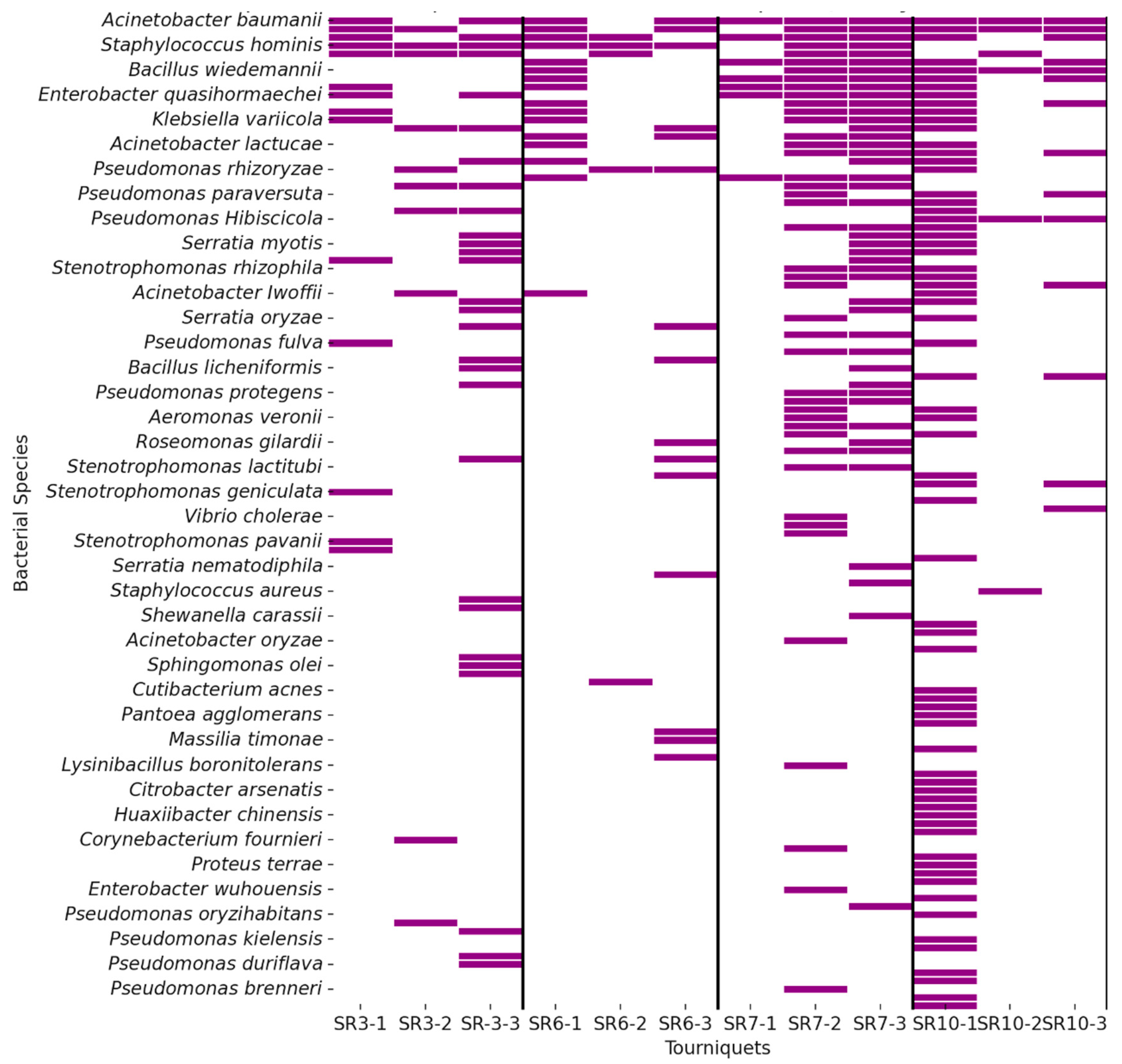 Applsci 15 07545 g003 Applsci 15 07545 g003