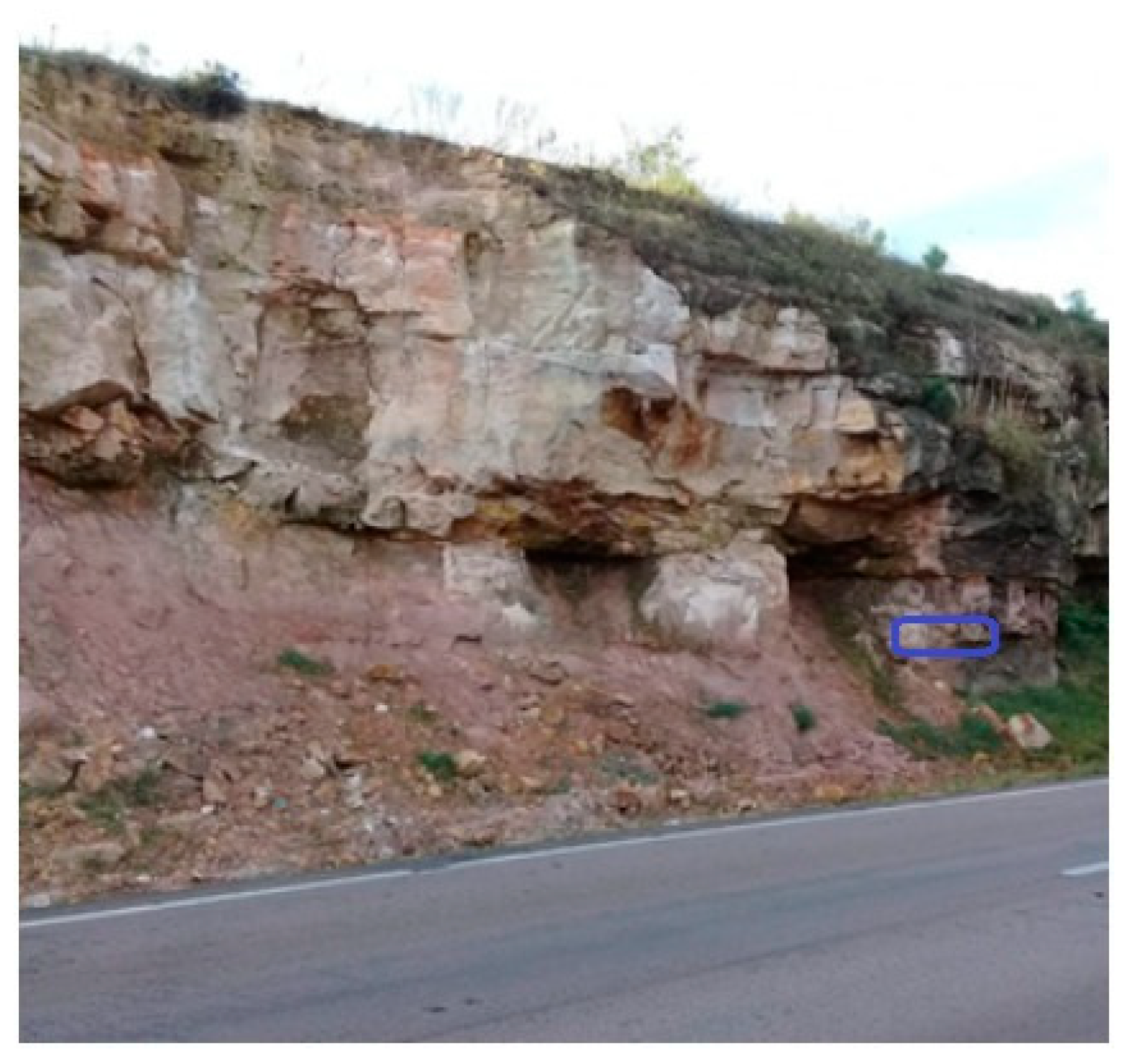 Applsci 15 07559 g002