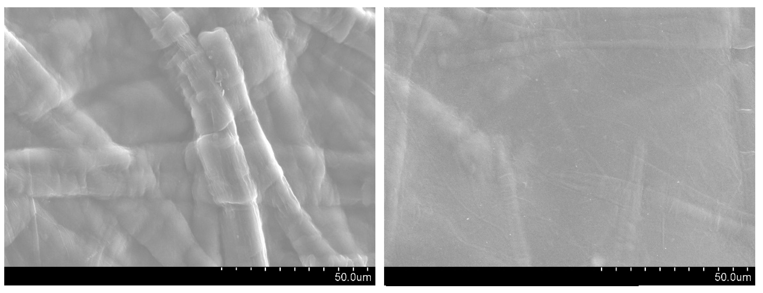 Applsci 15 07576 g008 Applsci 15 07576 g008