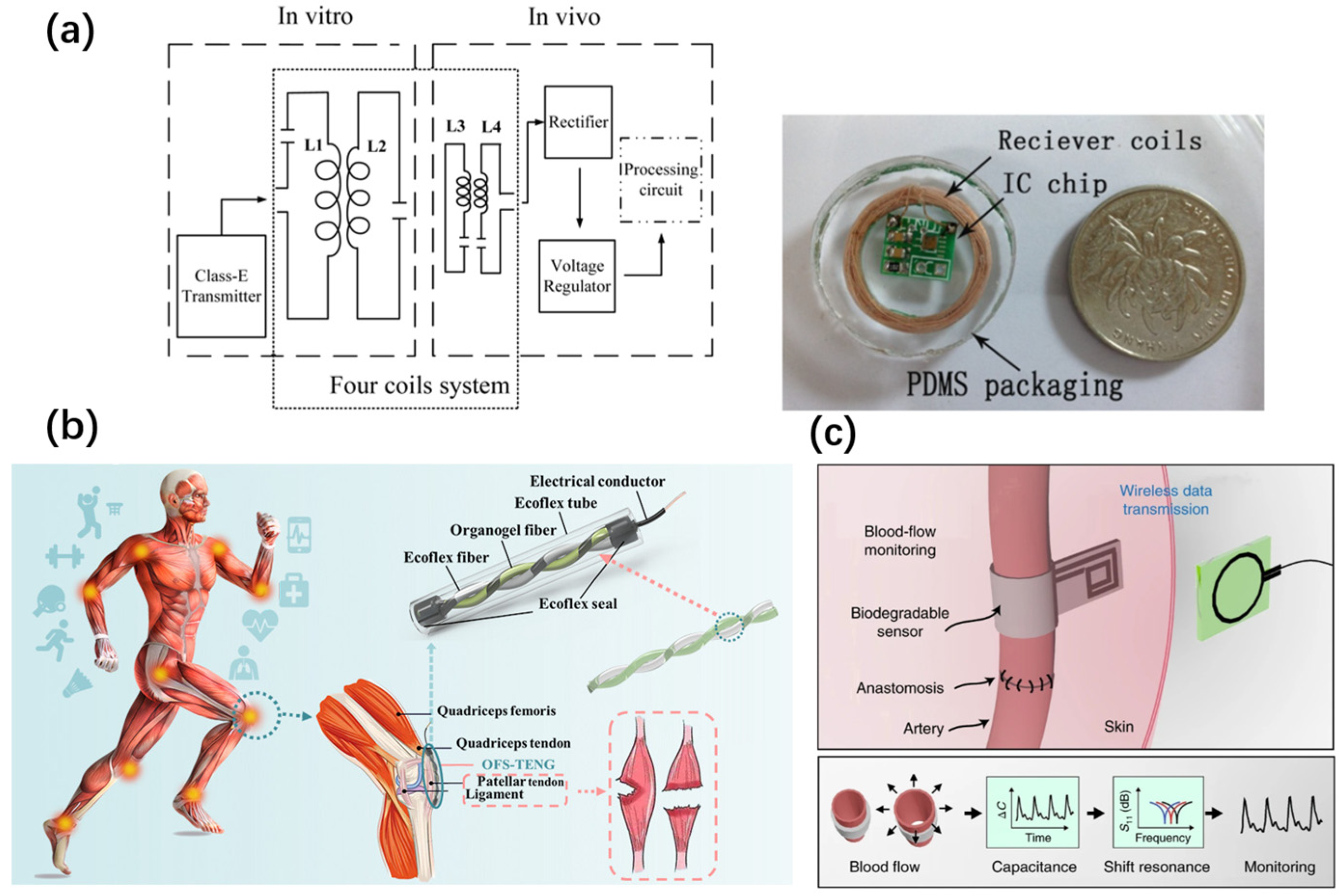 Applsci 15 07599 g003 Applsci 15 07599 g003