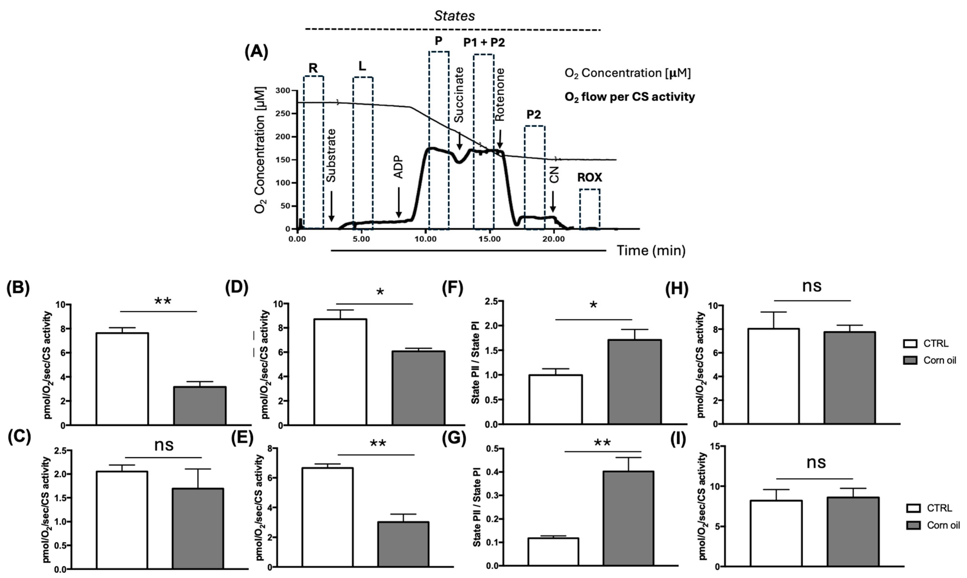 Applsci 15 07607 g006