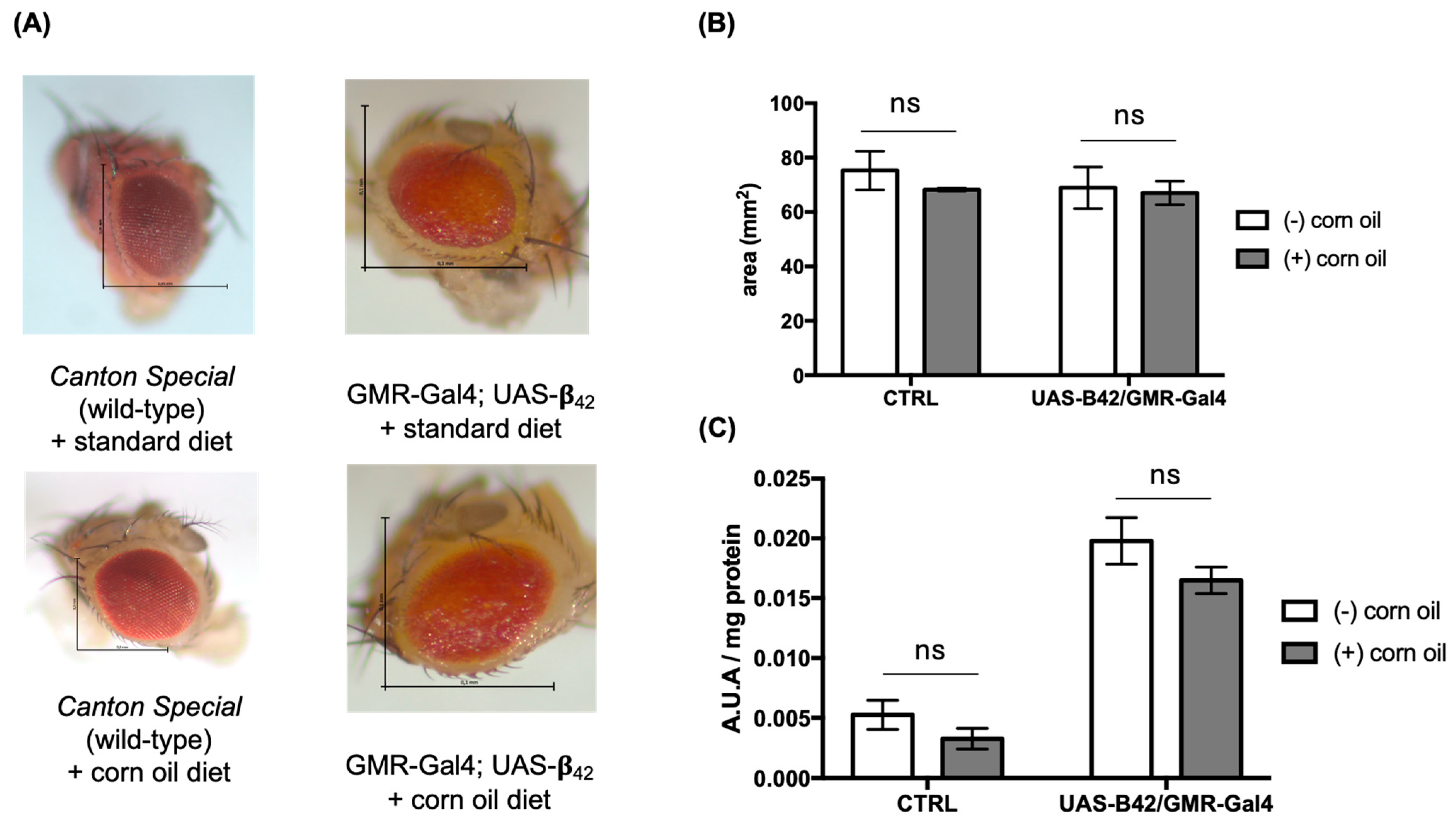Applsci 15 07607 g008
