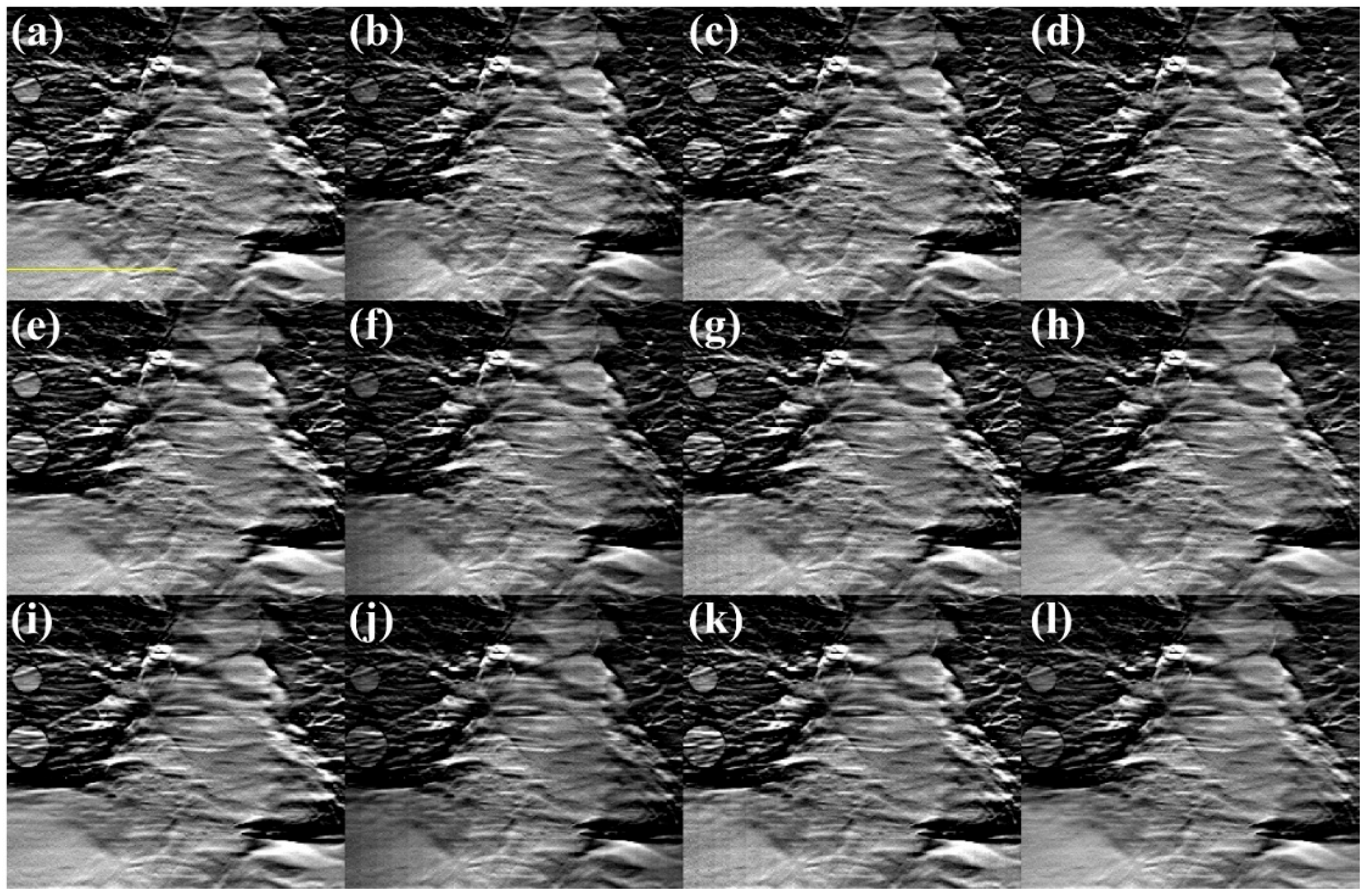 Applsci 15 07699 g006