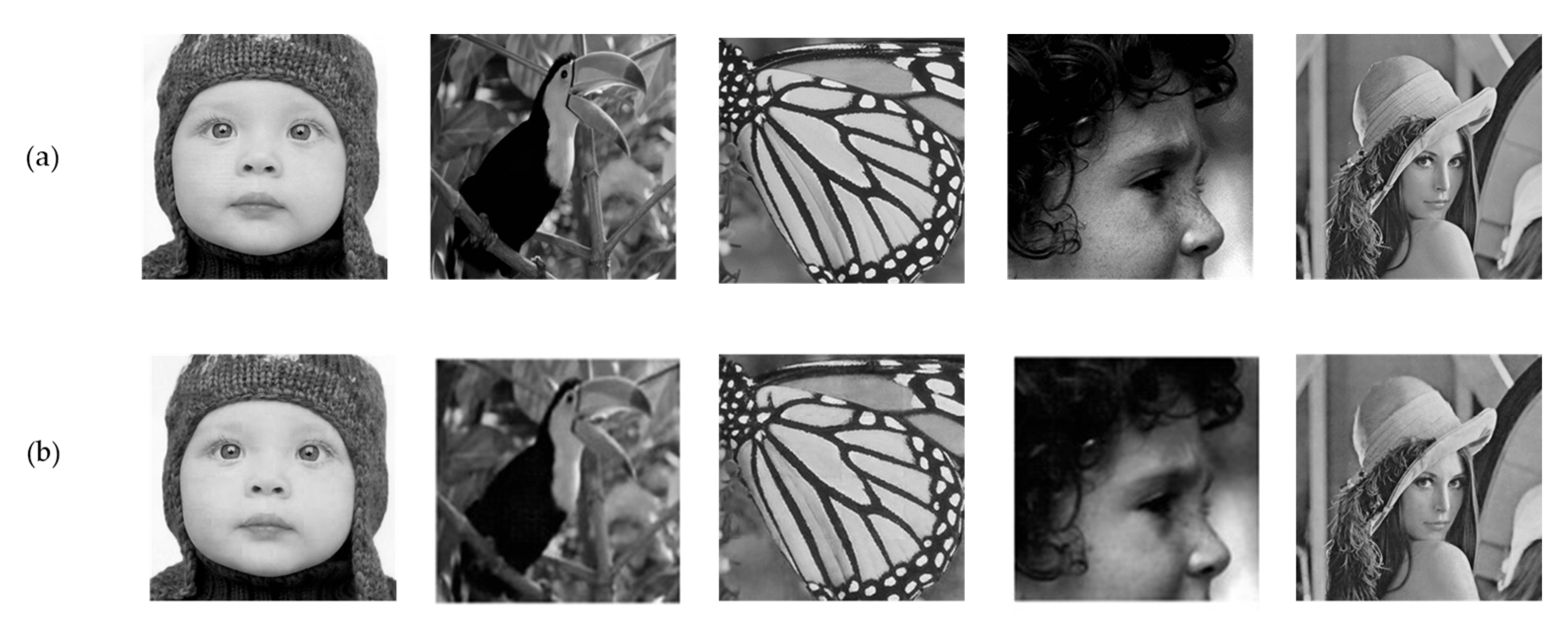 Applsci 15 07717 g007