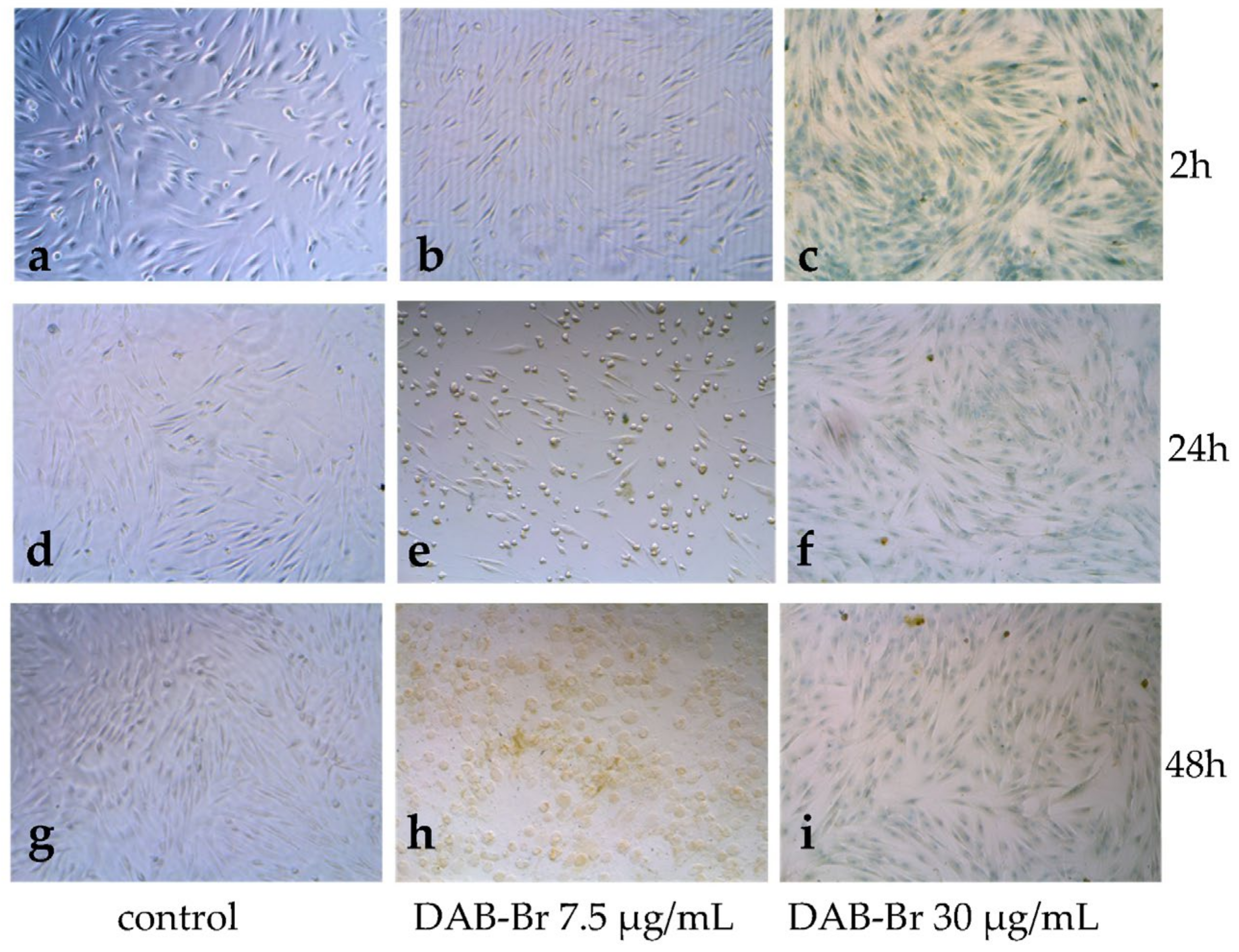 Applsci 15 07764 g006