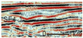 Applsci 15 07783 i007