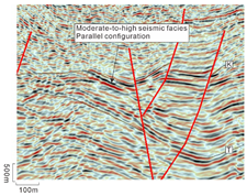 Applsci 15 07895 i001