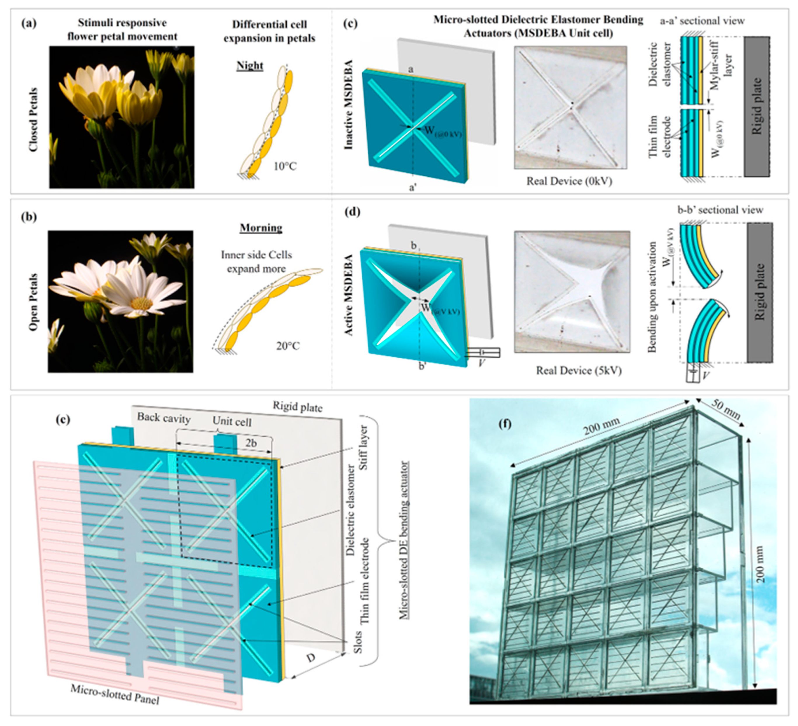 Applsci 15 07910 g011 Applsci 15 07910 g011