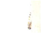 Applsci 15 07969 i012