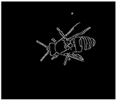 Applsci 15 07969 i017