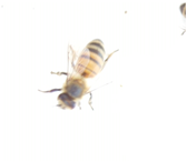 Applsci 15 07969 i022