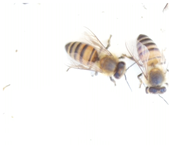 Applsci 15 07969 i024